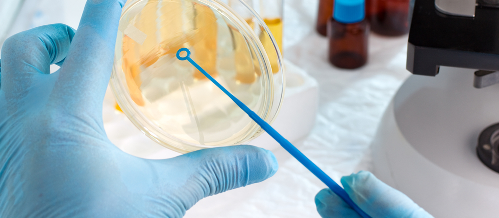 O que é Extrato de Carne - Aplicação em Microbiologia
