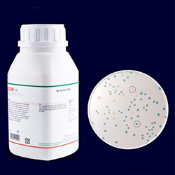 Agar-Cromogenico-AGC-8001-