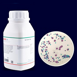 Agar-Cromogenico-AGC-8009-