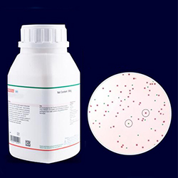 Agar-Cromogenico-AGC-8013-