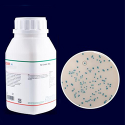 Agar-Cromogenico-AGC-8014-