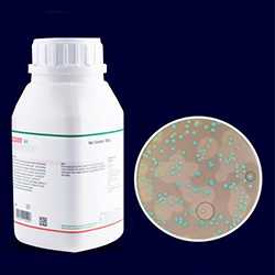 Agar-Cromogenico-AGC-8018-
