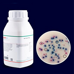Agar-Cromogenico-AGC-8023-