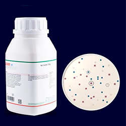 Agar-Cromogenico-AGC-8024-