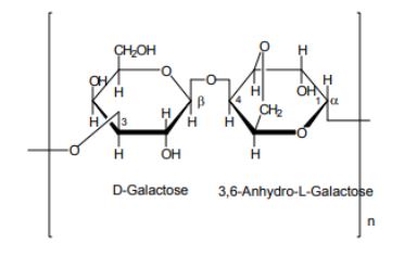 Agarose para Biologia Molecular LE - NOVA BIOTECNOLOGIA