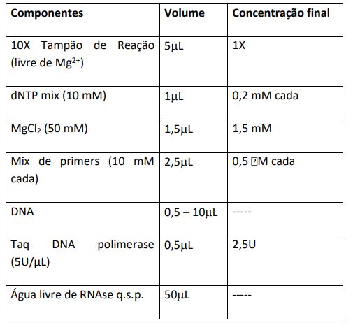 Easy Taq DNA Polymerase (recombinante) - Concentração 500U (5 U/µL) - NOVA BIOTECNOLOGIA