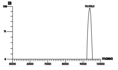 Easy Taq DNA Polymerase (recombinante) - Concentração 500U (5 U/µL) - NOVA BIOTECNOLOGIA