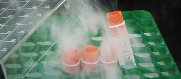 Armazenamento de Amostras em Laboratório