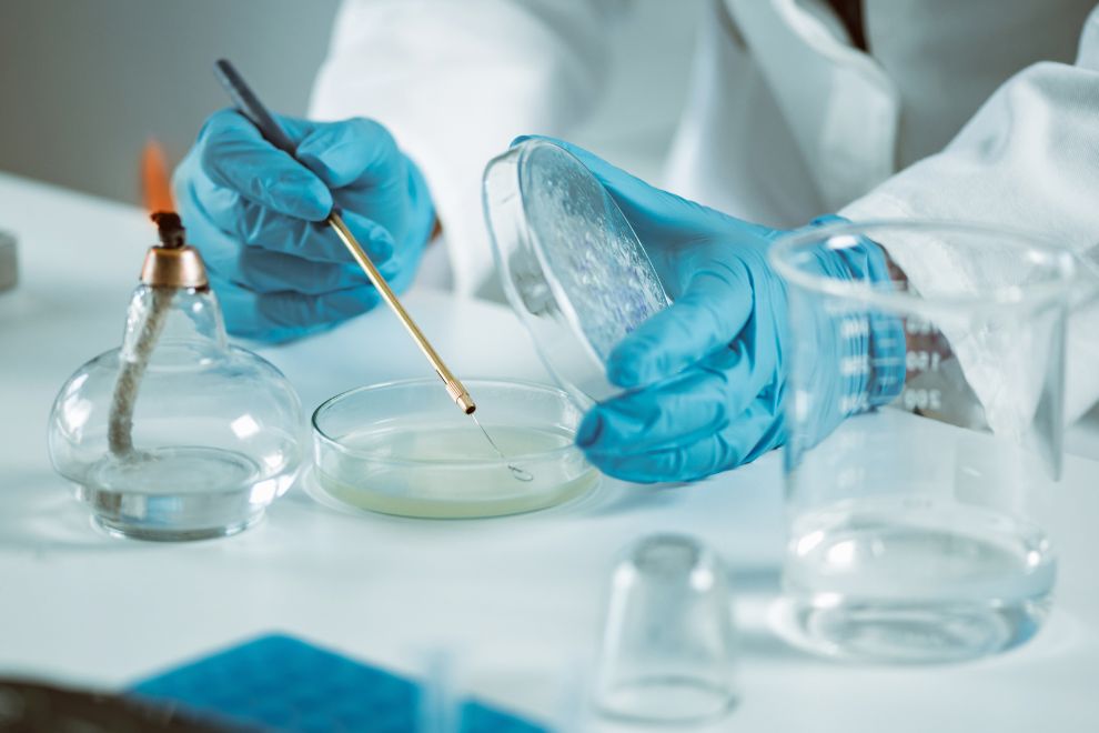 Caldo TSB 1 O que é o Caldo TSB? Função e Princípios em Microbiologia