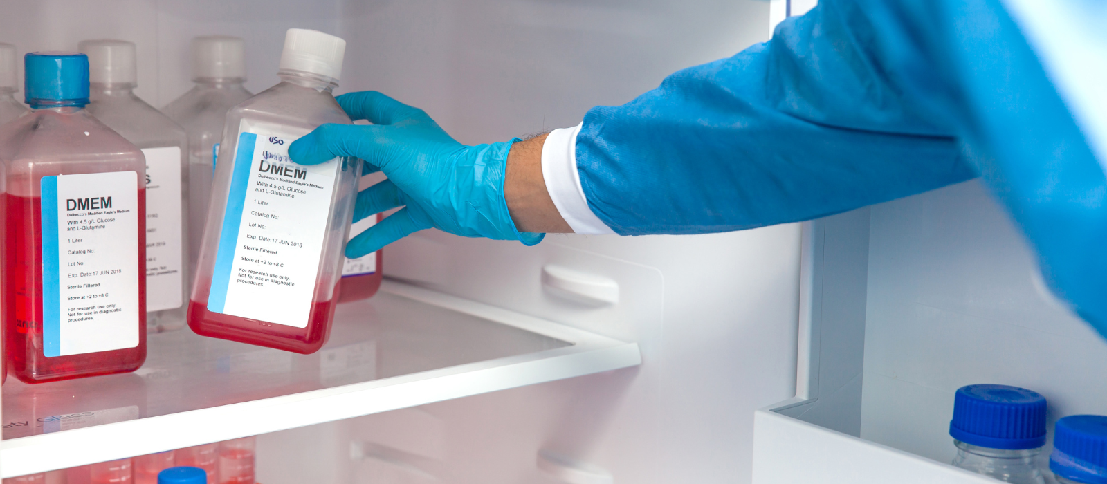 Câmara de Conservação em Laboratórios