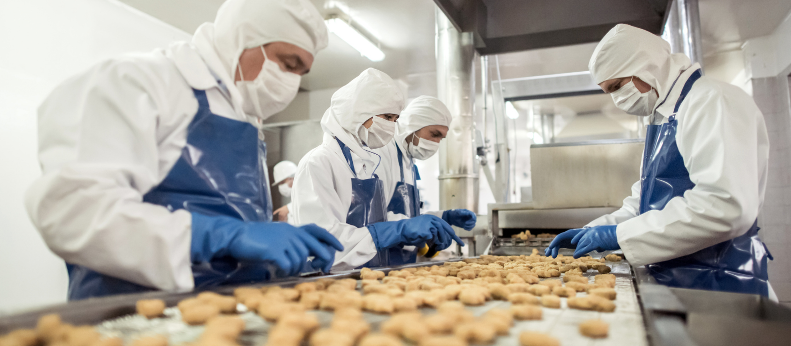 Contaminação na Indústria de Alimentos