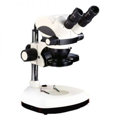 Estereoscopio 1 O que é um Estereoscópio -Guia do Comprador