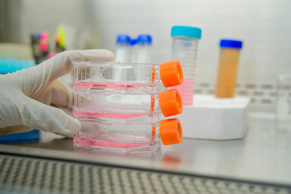 Laboratorio para Cultura de Celulas Seleção de Material para Cultura de Células Dicas Essenciais