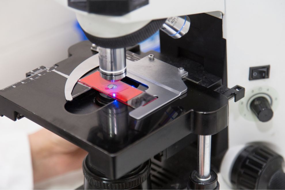 Lamina 1 990 × 660 O que são Lâminas e qual a sua importância na Microscopia