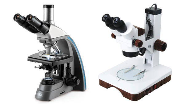 Microscopio optico 2 Como Escolher um Microscópio para Laboratório
