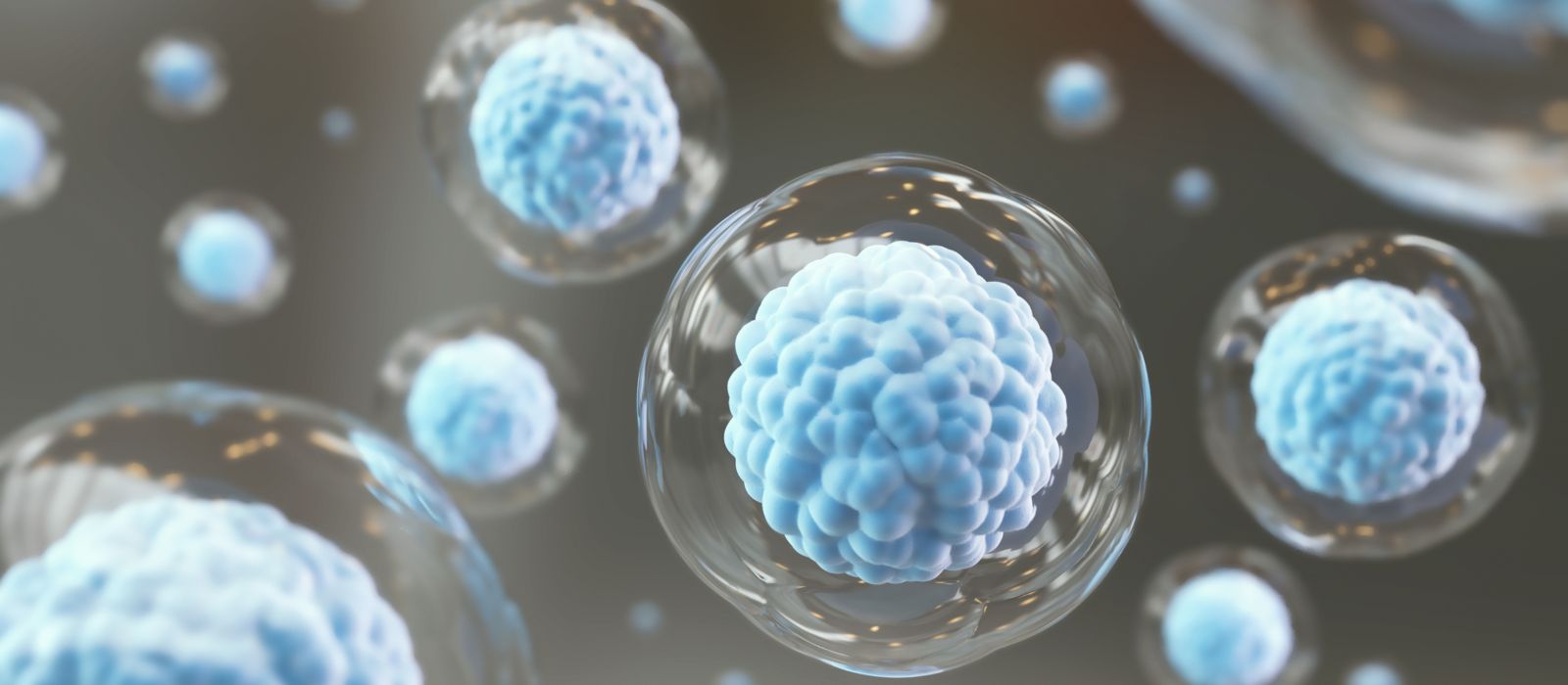Processador ultrassônico 2 (1600 × 700 px)