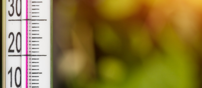Sem nome (1600 px × 700 px) (64)
