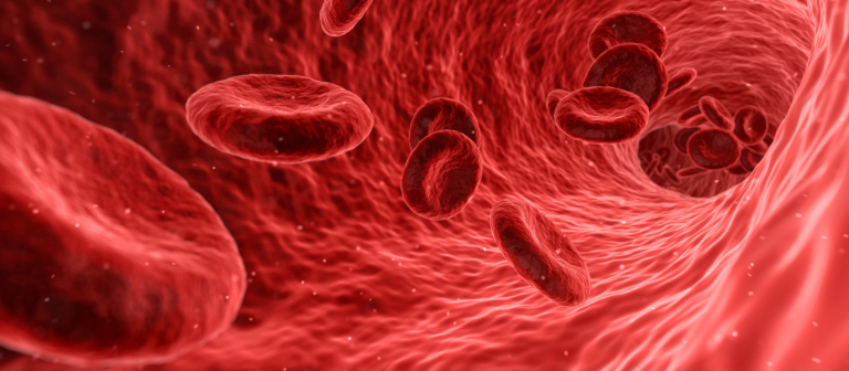Sem nome (1600 × 700 px) (23)