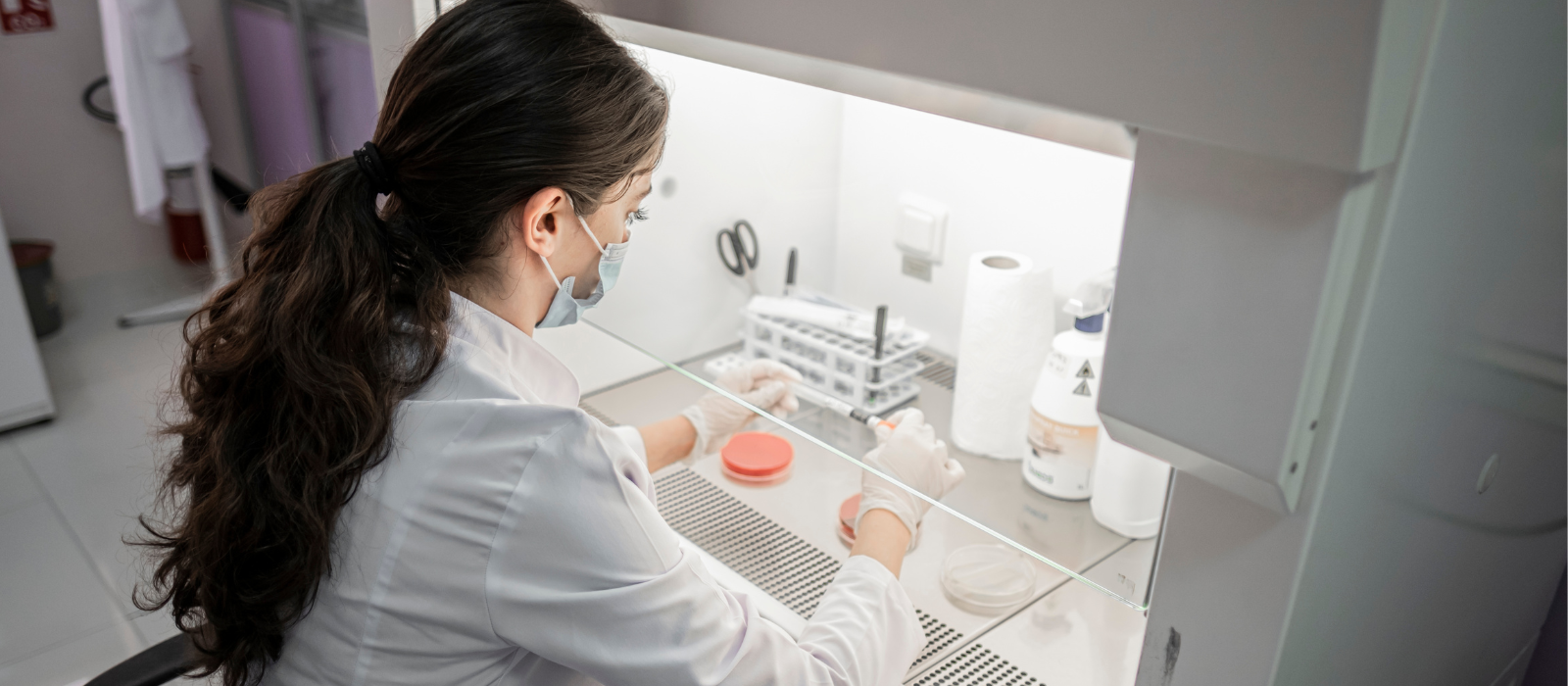 Sem nome (1600 × 700 px) (35)