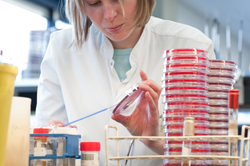 Sem nome 990 px × 660 px 1600 px × 700 px 990 px × 660 O que são Espalhadores de Células ou Alças para Microbiologia?