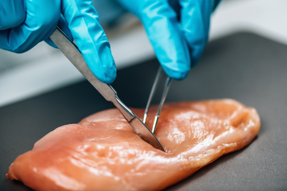 Sem nome 990 px × 660 px 990 px × 660 px 1600 px × 700 px 1600 px × 700 px 1600 px × 700 px 990 px × 660 px 1 Laboratório de Controle de Qualidade de Alimentos e Bebidas uma oportunidade de negócio.