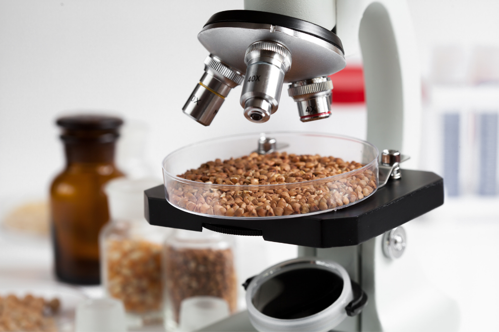 Sem nome 990 px × 660 px 990 px × 660 px 1600 px × 700 px 1600 px × 700 px 1600 px × 700 px 990 px × 660 Laboratório de Controle de Qualidade de Alimentos e Bebidas uma oportunidade de negócio.