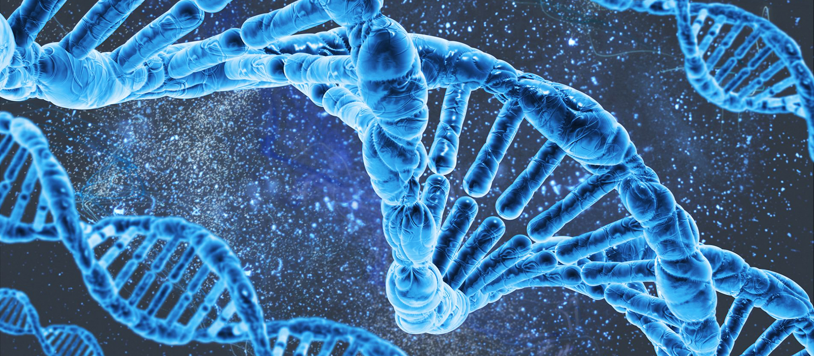 biologia molecular A Importância Vital das Boas Práticas na Biologia Molecular