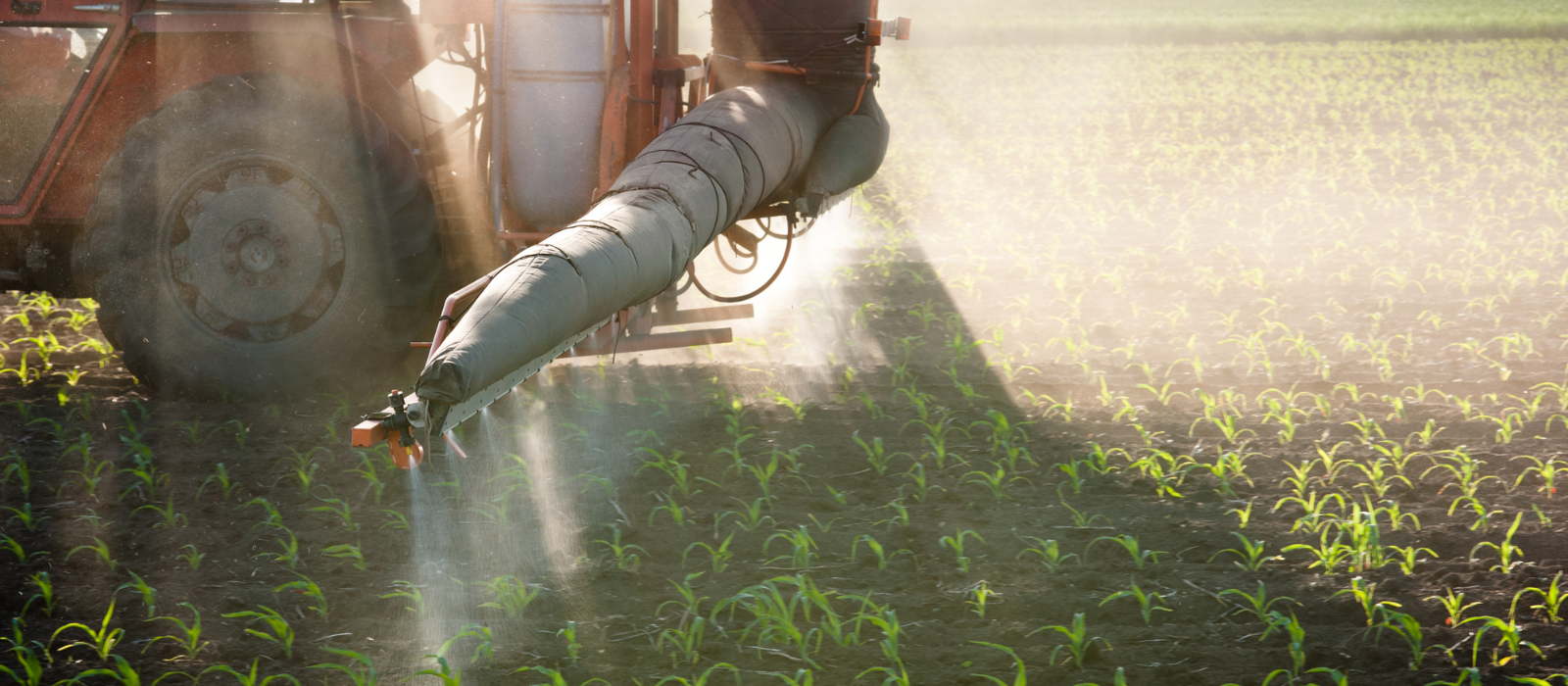 controle de qualidade em fertilizantes (1600 × 700 px)