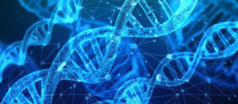 dna 1