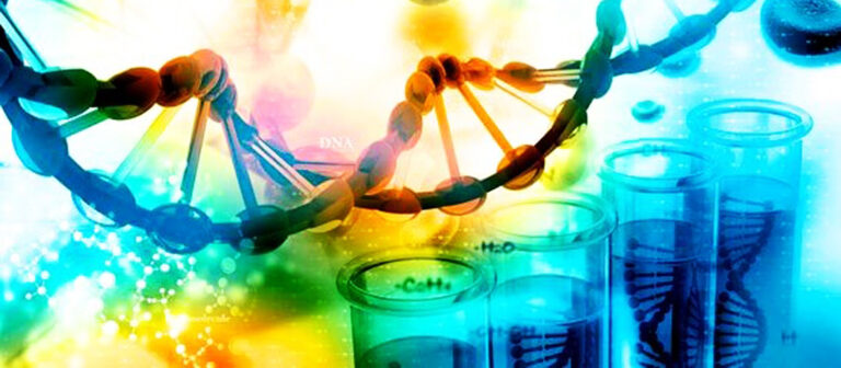 dna