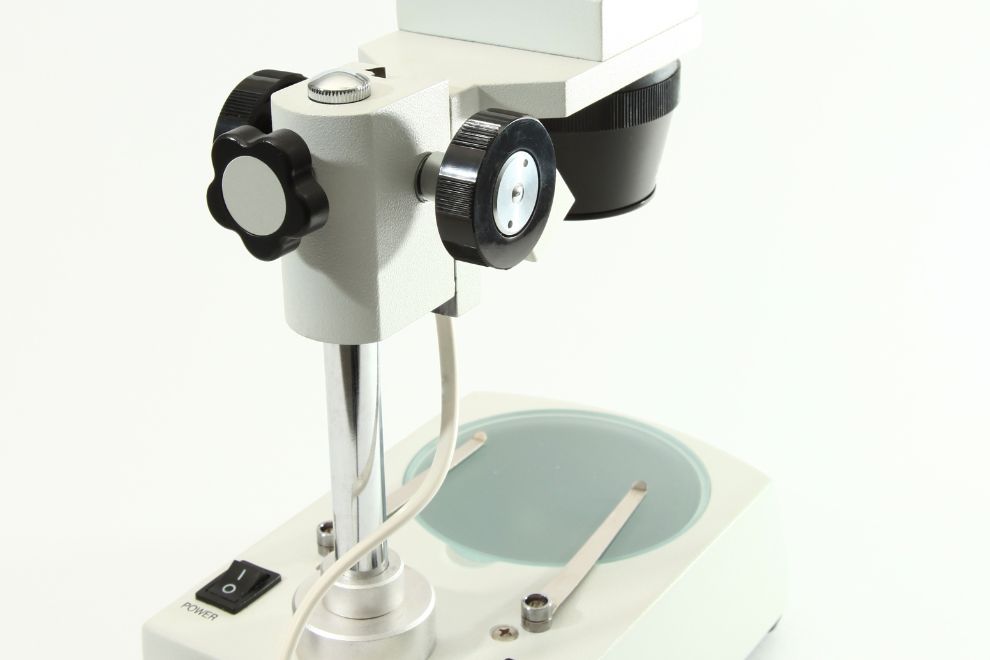 estereoscopio 1 O que é um Estereoscópio -Guia do Comprador