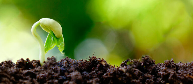 germinacaoblog