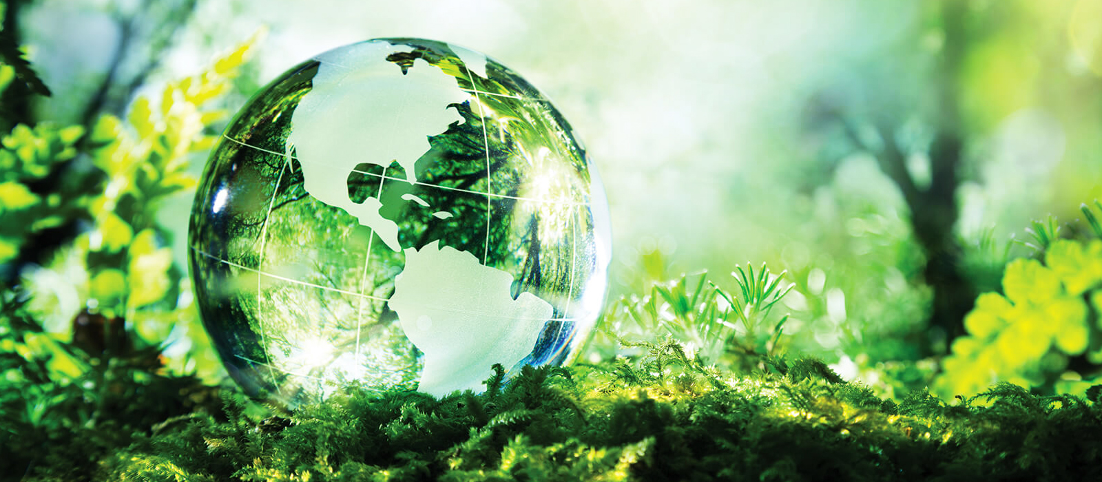 kelpen_oil_meio_ambiente_background