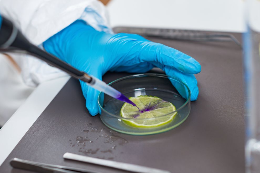 laboratorio de analises de alimentos 1 O que faz um Laboratório de análise de alimentos?
