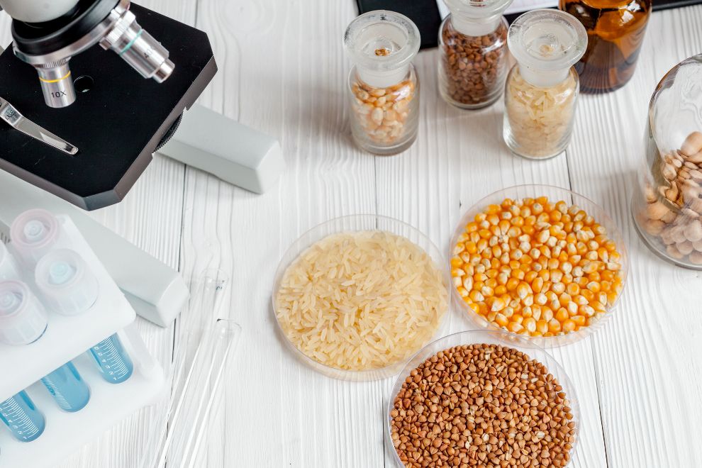 laboratorio de analises de alimentos O que faz um Laboratório de análise de alimentos?