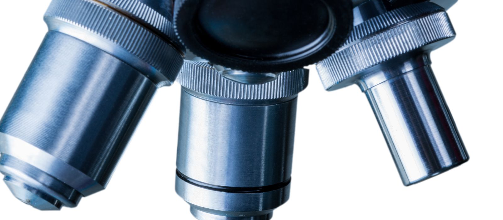 microscópio de contraste de fase