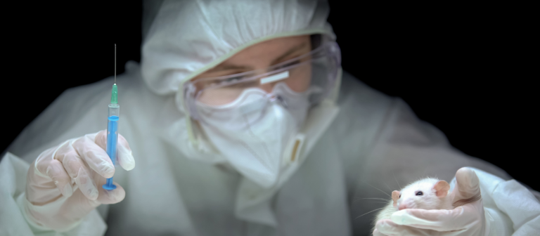 toxicologia in vitro