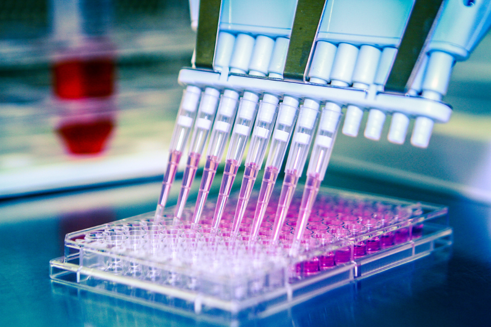 toxicologia in vitro 990 × 660 Toxicologia In Vitro: O Futuro dos Testes Toxicológicos