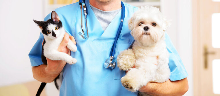 vet