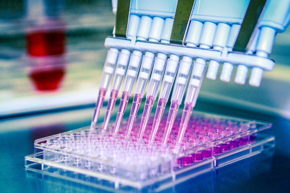 robos de pipeagem Biosegurança em Laboratório-Equipamentos Importantes.