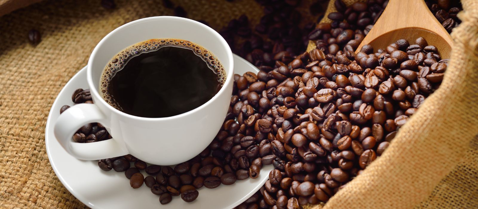 Controle de Qualidade do Café (1)