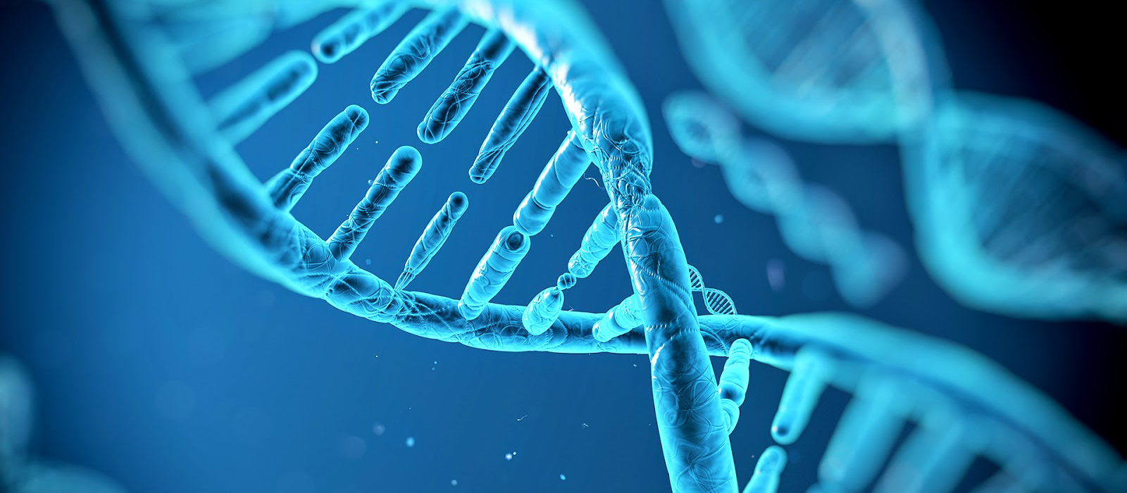 Termociclador de PCR em Tempo Real Saiba suas Funcoes Termociclador de PCR em Tempo Real - Saiba suas Funções