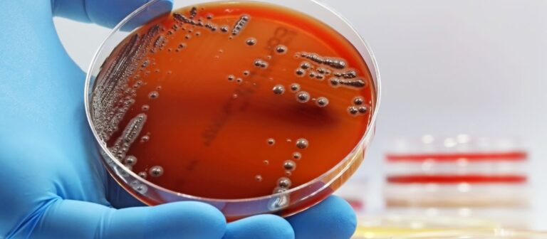 Microbiologia Industrial 1 (1600 x 700 px)