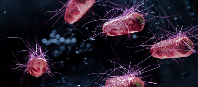 Prevenir Surtos de E. coli (1600 x 700 px)
