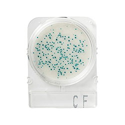 Compact-Dry-Coliformes-Totais-CF-