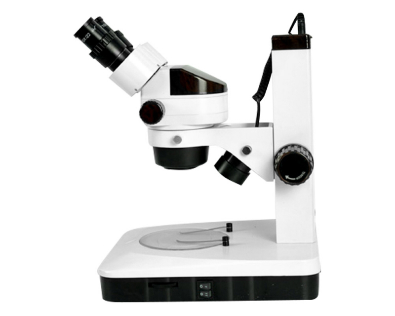 Estereomicroscopio Binocular ECZ BLACK 2 Estereomicroscopio-Binocular-ECZ-BLACK-2