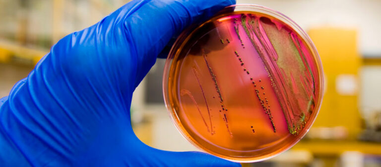 meiodeculturablog2