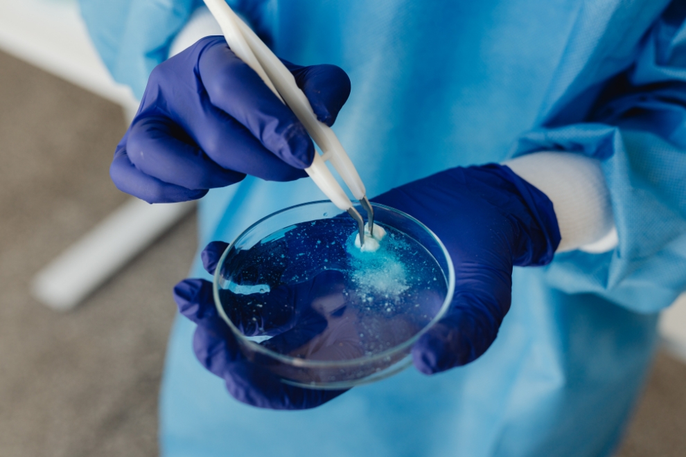 Microbiologia preditiva e segurança dos alimentos: entenda