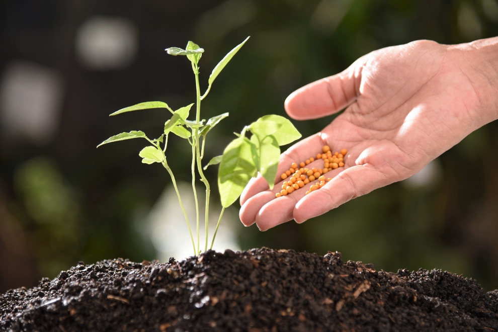Analise de NPK em Fertilizantes 990 x 660 px 1 Análise de NPK em Fertilizantes: Guia Técnico Completo