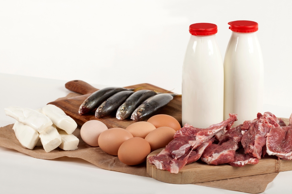 PCR em tempo real para detectar fraudes em carnes e leite